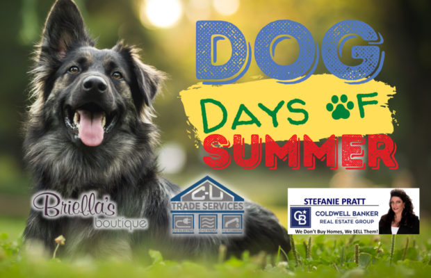 Dog Days of Summer, Top Four! Dog Days of Summer, Top Four!