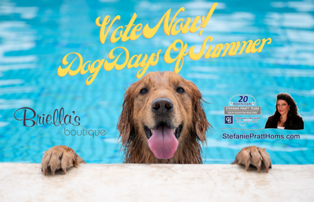 It’s the Dog Days of Summer!