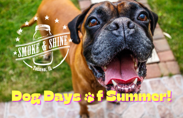 It’s the Dog Days of Summer! It’s the Dog Days of Summer!