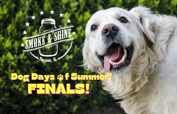 Dog Days of Summer FINALS!